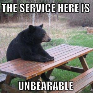 Unbearable customer service